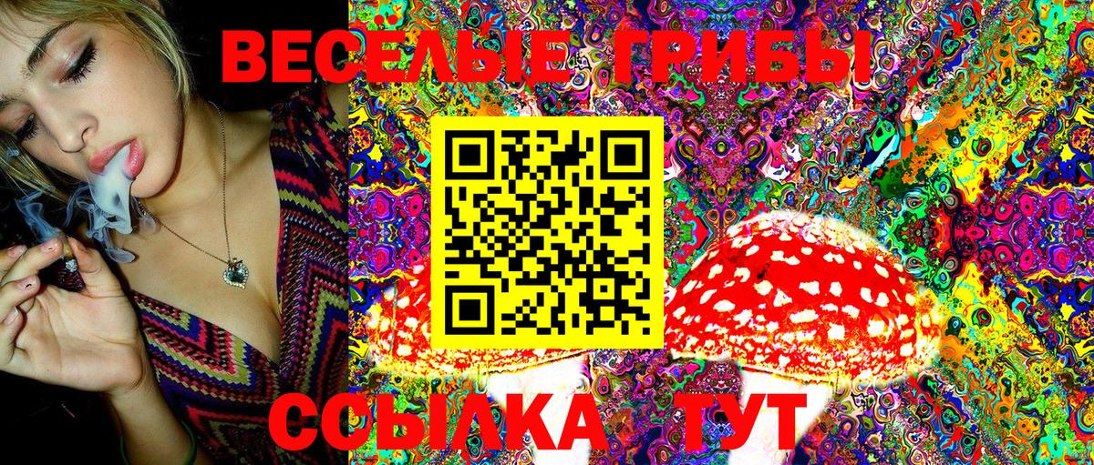 Барнаул  сколько стоит  Вход с VPN  Псилоцибиновые грибы Psilocybine cubensis 